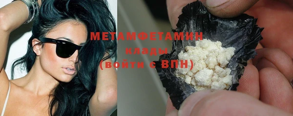 гидра Горняк