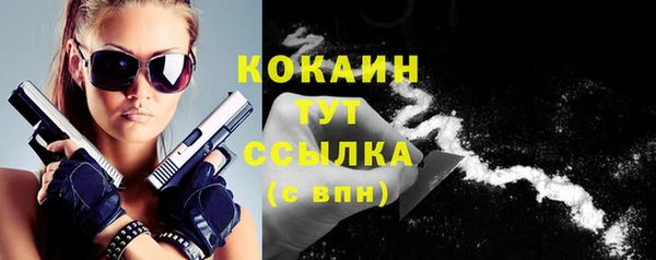 гидра Горняк