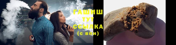 гидра Горняк