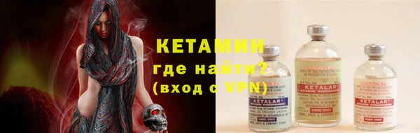 гидра Горняк