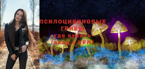 гидра Горняк
