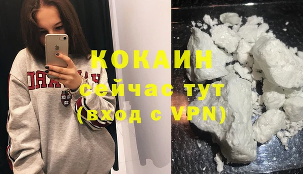 гидра Горняк