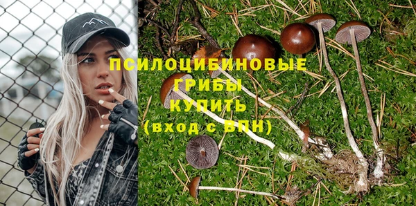 гидра Горняк