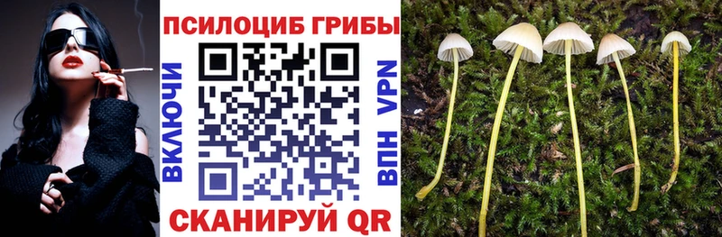 купить наркотики цена площадка какой сайт Галлюциногенные грибы GOLDEN TEACHER Донской кракен рабочий сайт