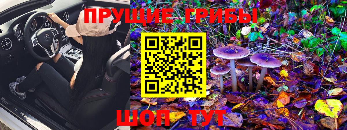 Псилоцибиновые грибы Cubensis  Вход с VPN  Псилоцибиновые грибы мухоморы  Донской 