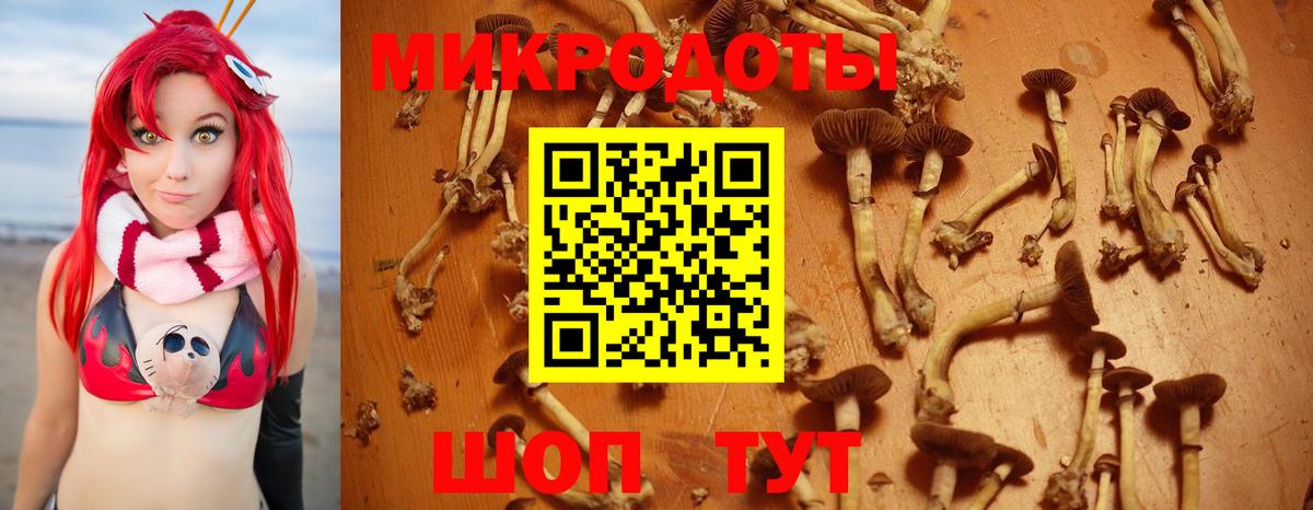 Галлюциногенные грибы ЛСД Донской