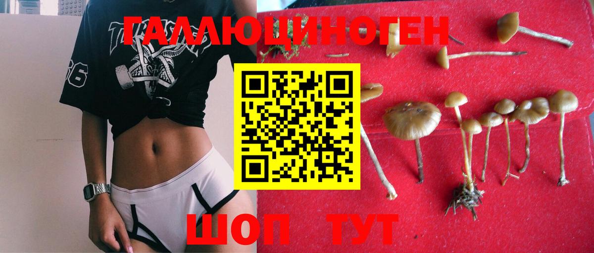 Псилоцибиновые грибы прущие грибы Донской