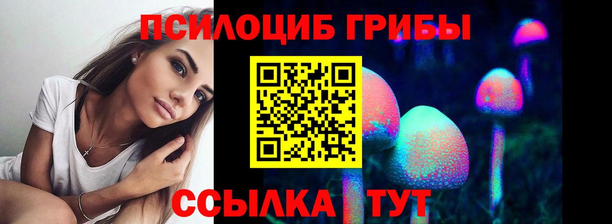 Галлюциногенные грибы мицелий  Донской 